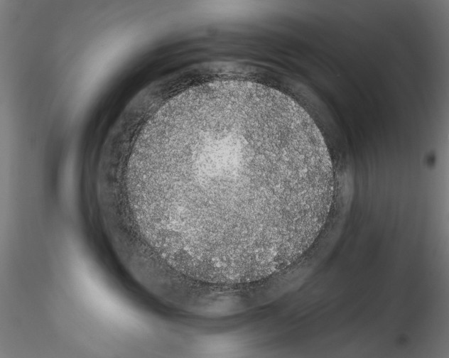 X0000114520381200911301122