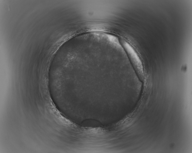 X0000114520385200911301121