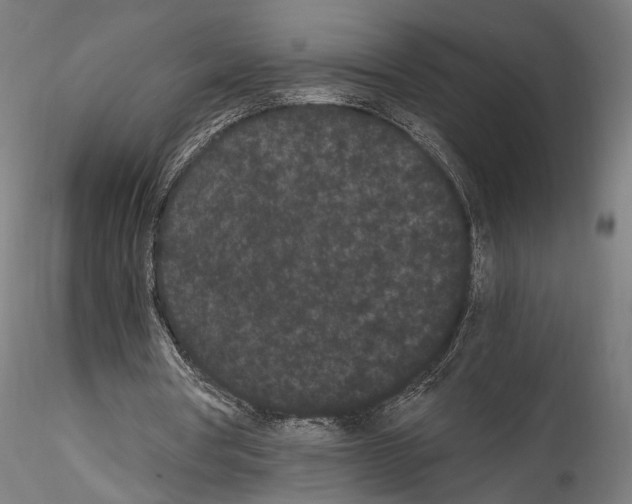 X0000114520386200911301121