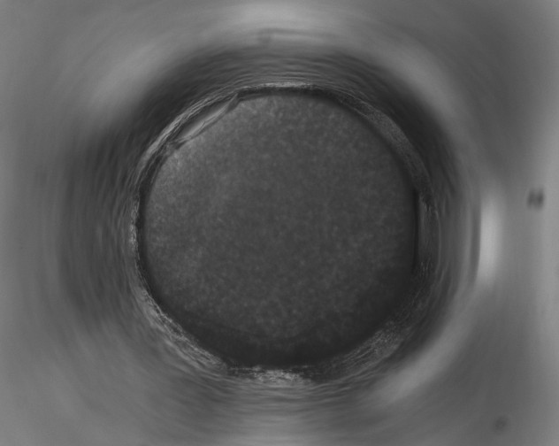 X0000114520387200911301121