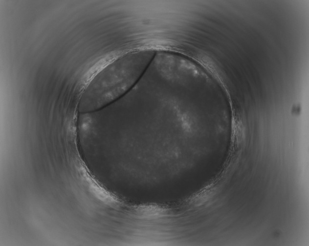 X0000114520389200911301121