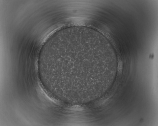 X0000114520390200911301121