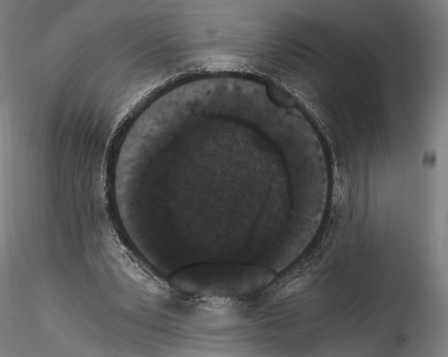 X0000114520391200911301121