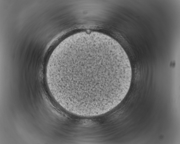 X0000114520392200911301121