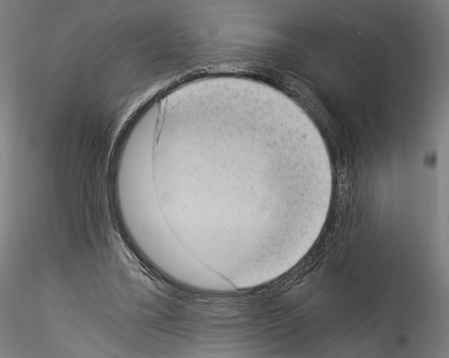 X0000114520395200911301121