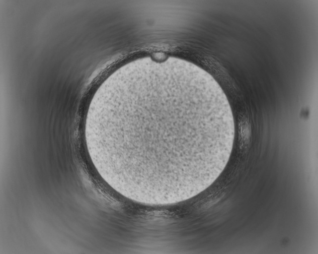 X0000114520396200911301121