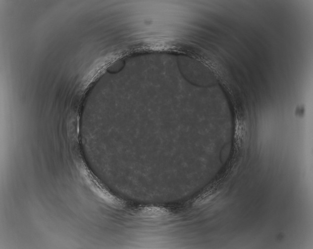 X0000114520397200911301121