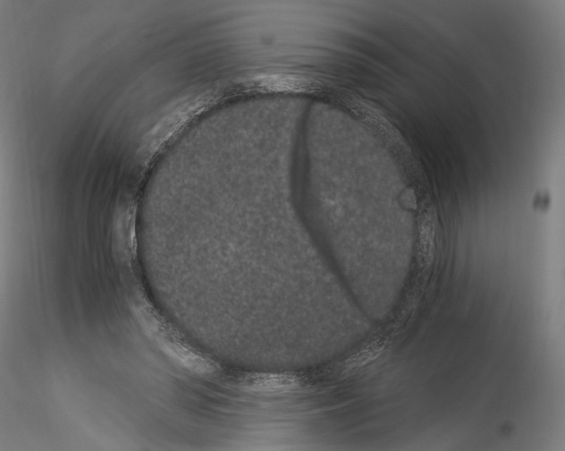 X0000114520398200911301121