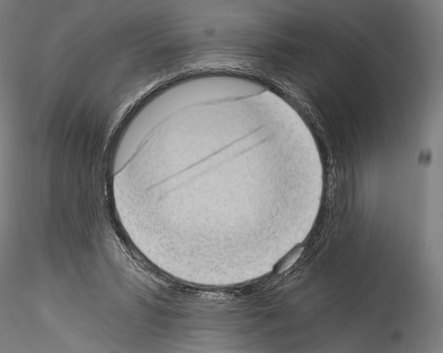 X0000114520399200911301121