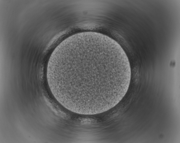 X0000114520400200911301121