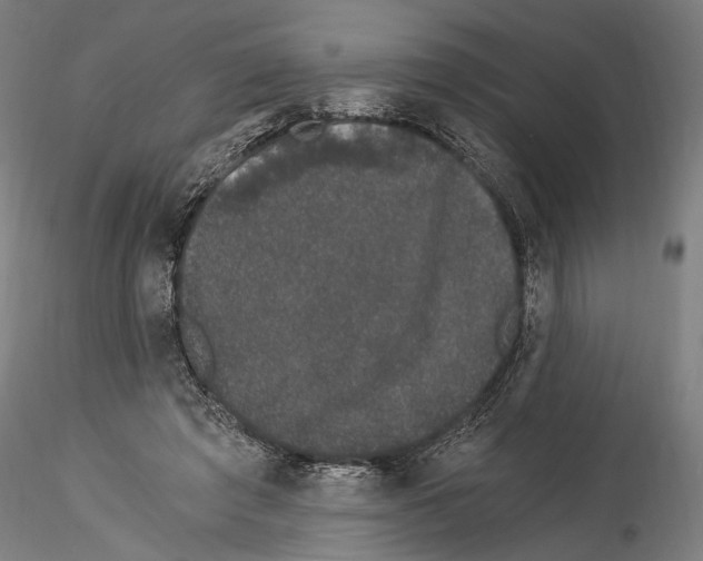 X0000114520401200911301121