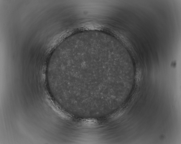 X0000114520402200911301121