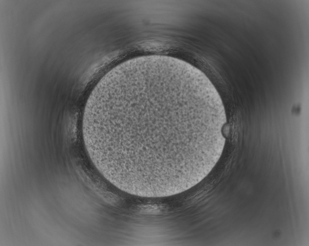 X0000114520404200911301121