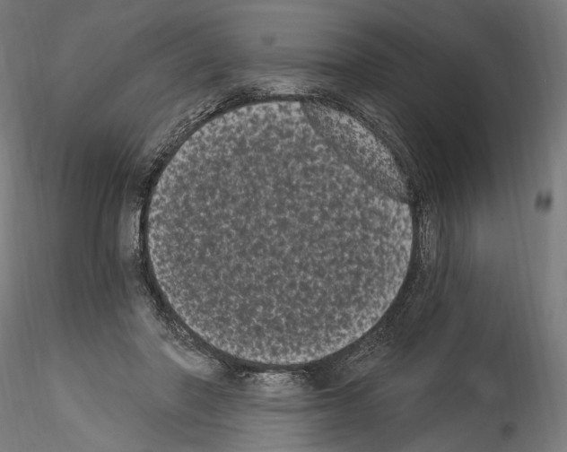 X0000114520406200911301121