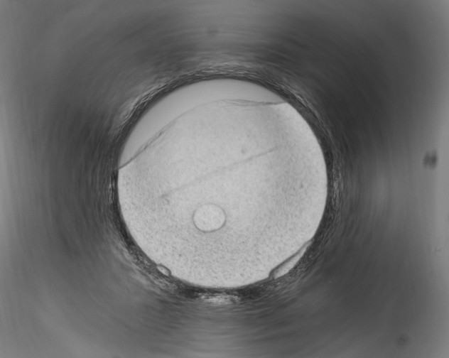 X0000114520407200911301121