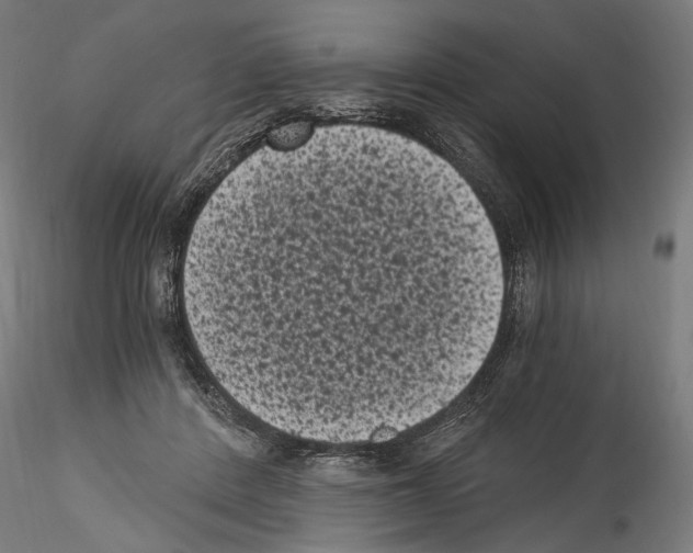 X0000114520408200911301121