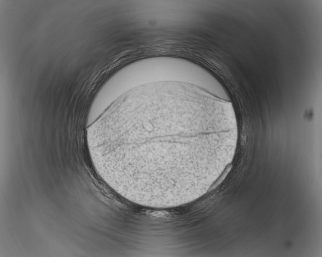 X0000114520409200911301121