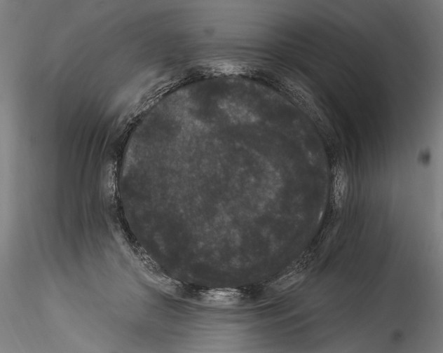 X0000114520410200911301121