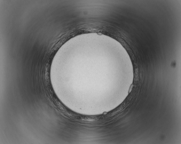 X0000114520412200911301121