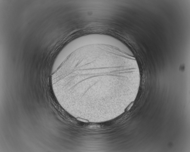 X0000114520413200911301121