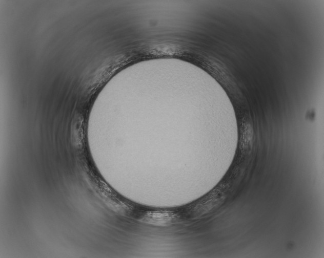 X0000114520414200911301121