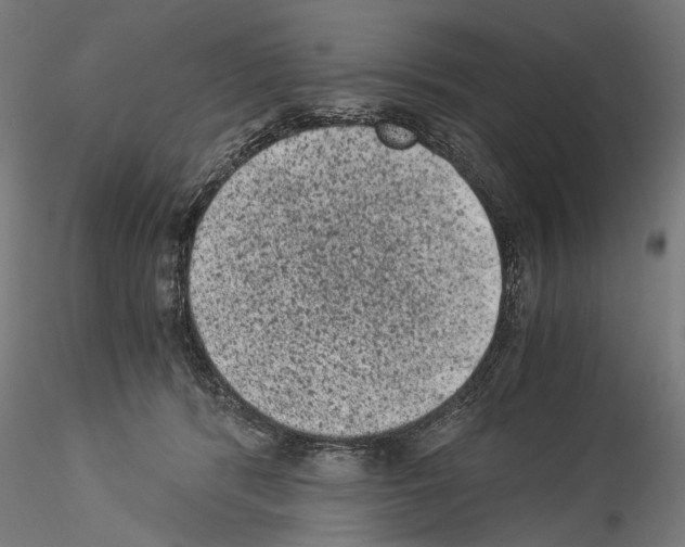 X0000114520416200911301121