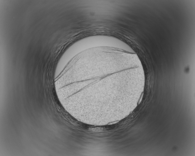 X0000114520417200911301121