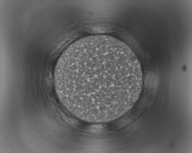 X0000114520418200911301121