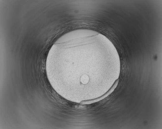 X0000114520419200911301121