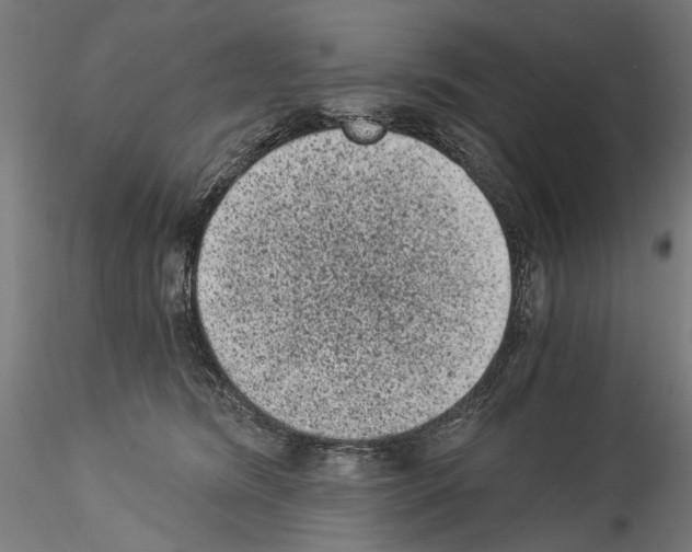 X0000114520420200911301121