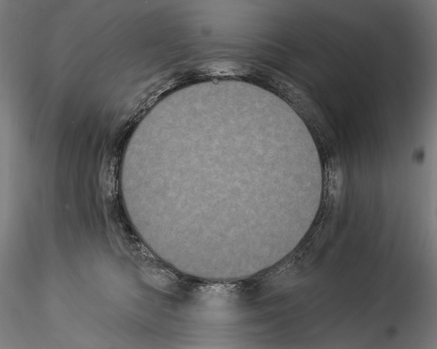 X0000114520422200911301121