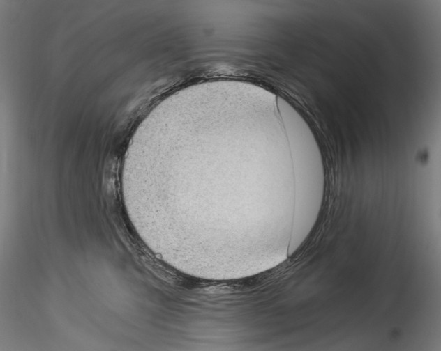 X0000114520423200911301121