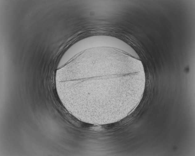 X0000114520425200911301121