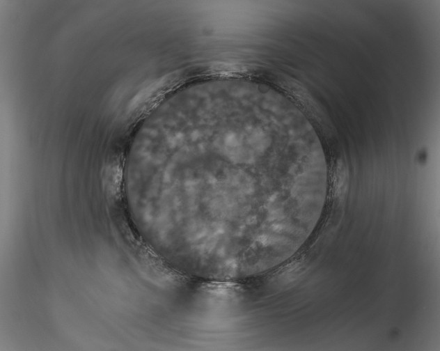 X0000114520427200911301121