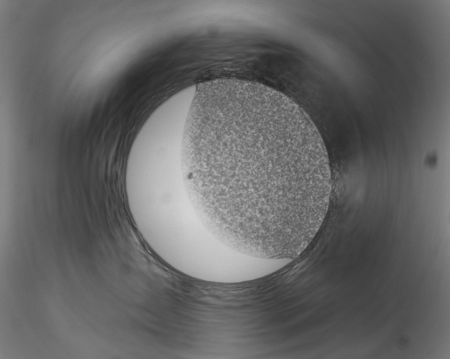 X0000114520431200911301120