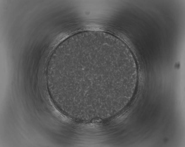 X0000114520433200911301120