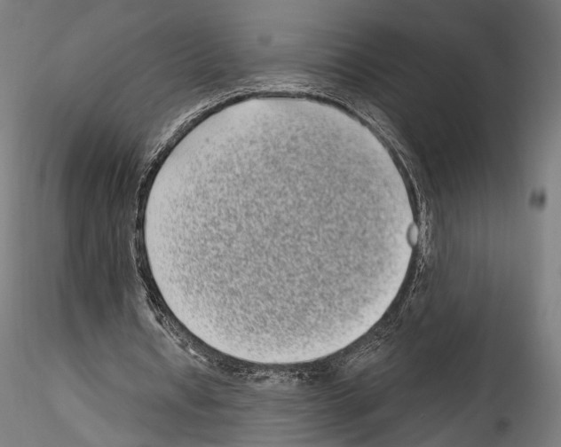 X0000114520434200911301120