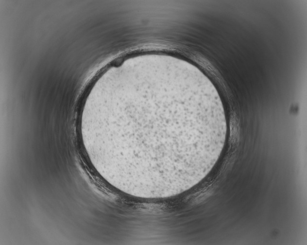 X0000114520436200911301120