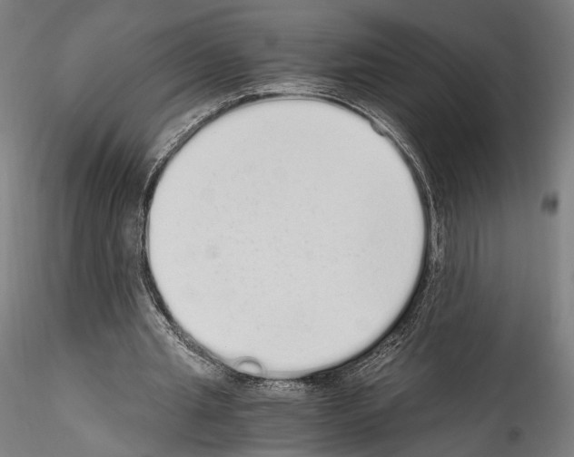 X0000114520437200911301120