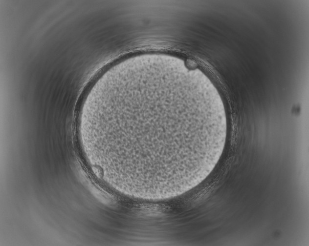 X0000114520439200911301120