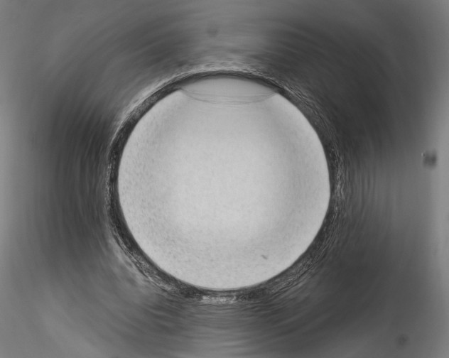 X0000114520440200911301120