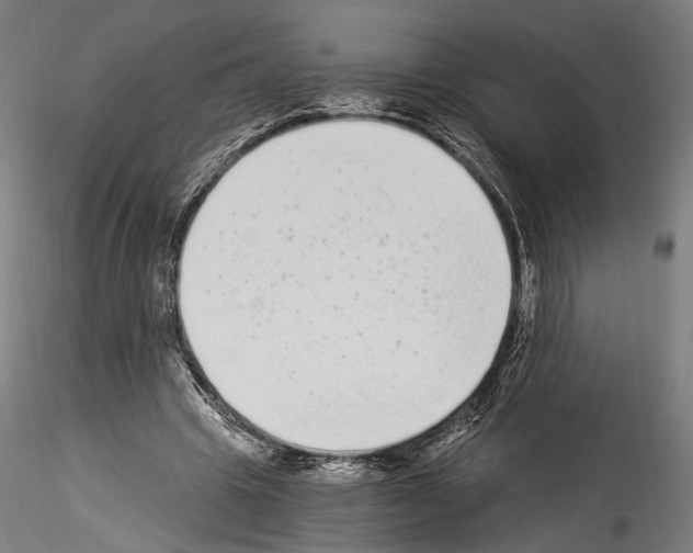 X0000114520441200911301120