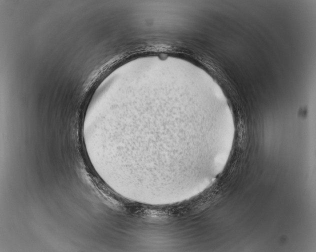 X0000114520442200911301120