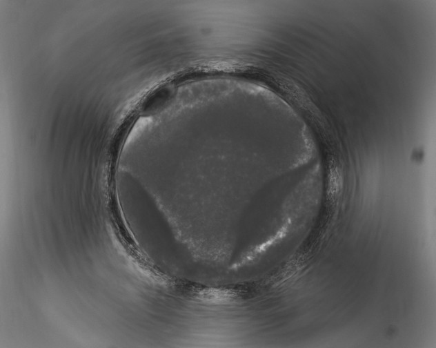 X0000114520444200911301120