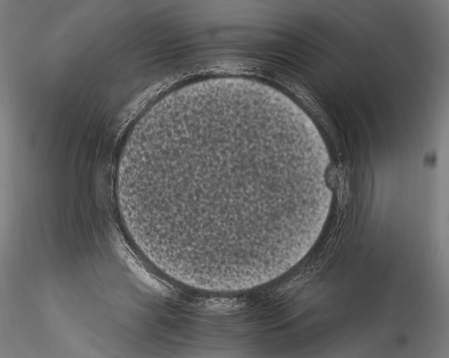 X0000114520445200911301120