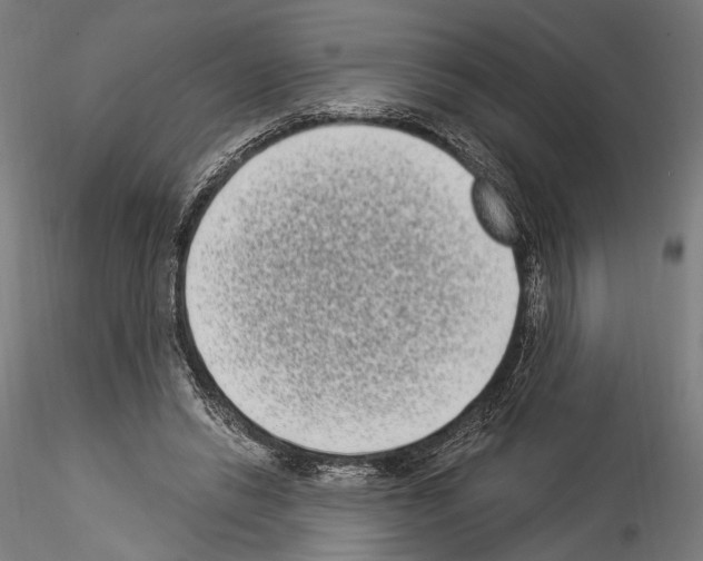 X0000114520446200911301120