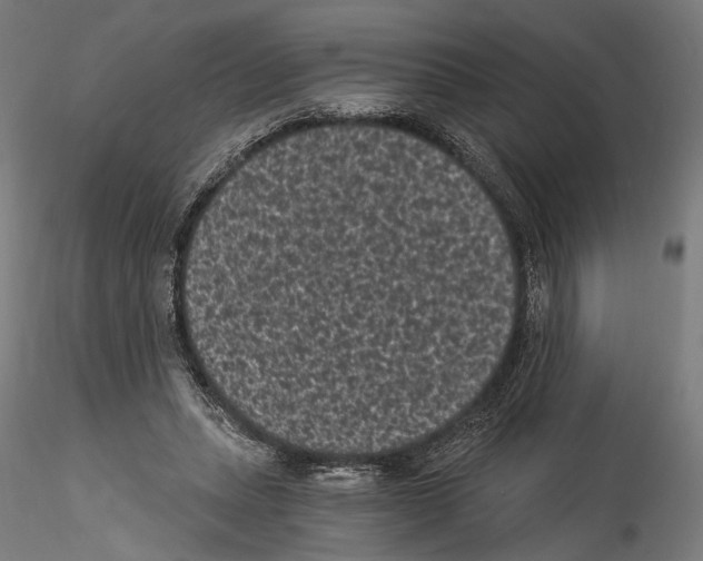 X0000114520447200911301120