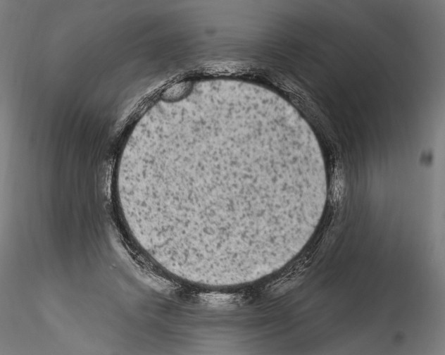 X0000114520448200911301120