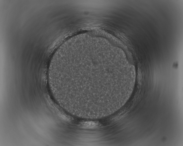 X0000114520449200911301120