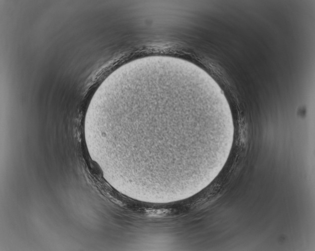 X0000114520450200911301120